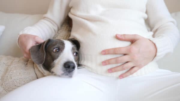 pregnant woman and her dog on the couch
