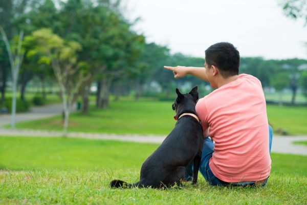 dog owner pointing at something outside on grass