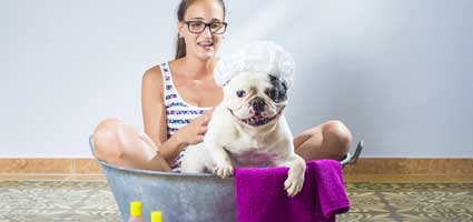 pet spa day