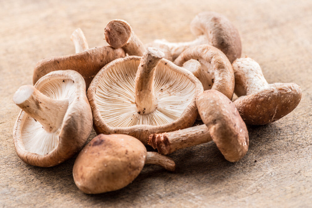 Shiitake mushrooms on the table