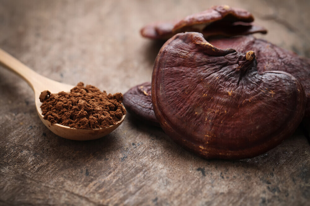 reishi mushrooms with powder