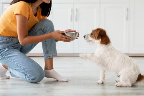 woman feeding dog