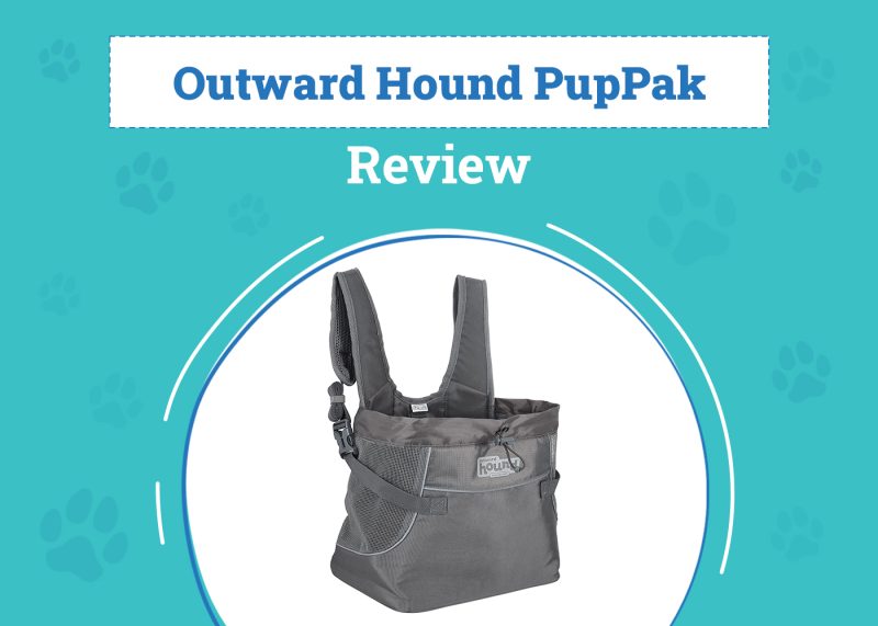 Outward Hound PupPak Review