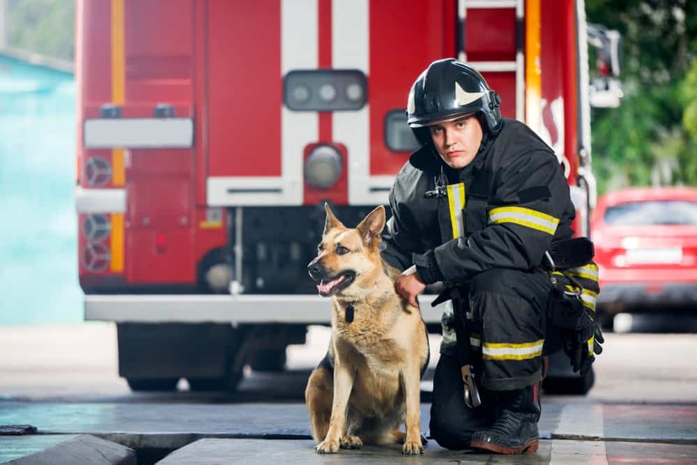fireman squatting next to service dog