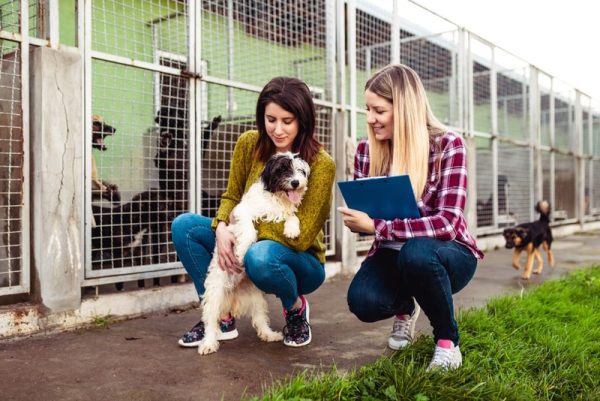 woman adopt dog from shelter