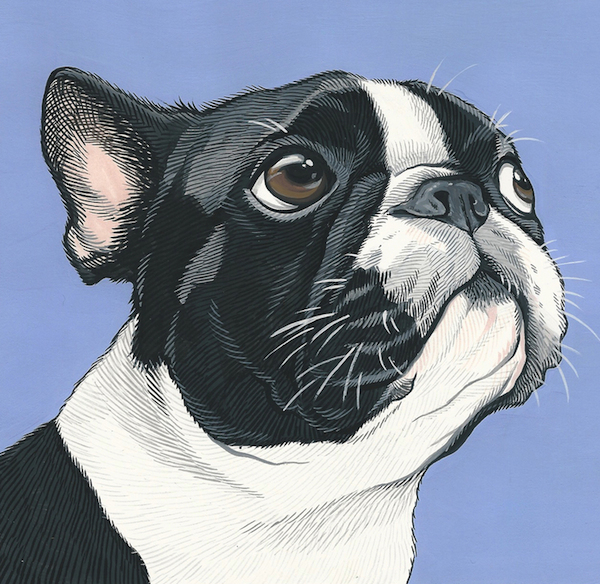 "Beau," by Manda Wolfe.