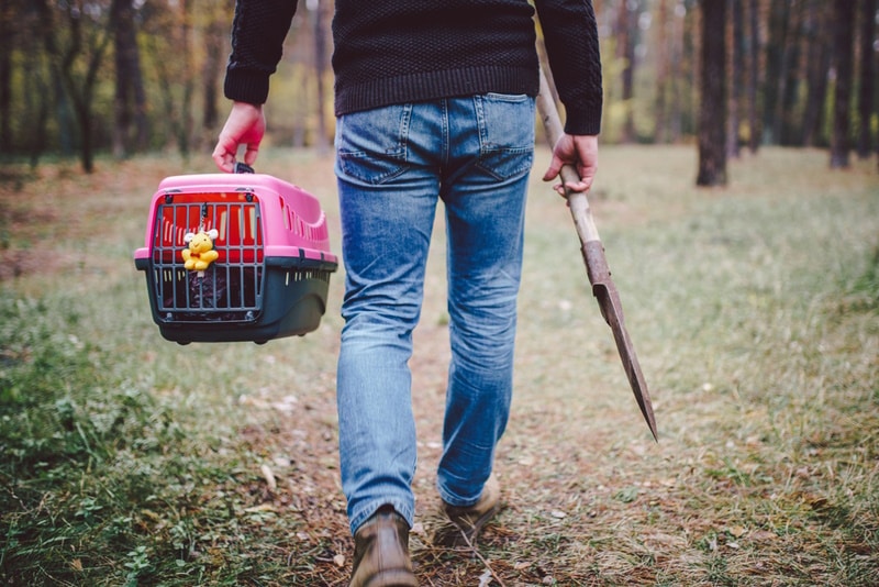 man-carrying-pet-carrier-and-shovel