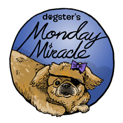 Dogster-Monday-Miracle-badge_49_0_0_0