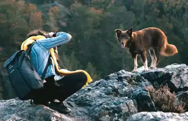 woman taking a photo of a dog on a rock