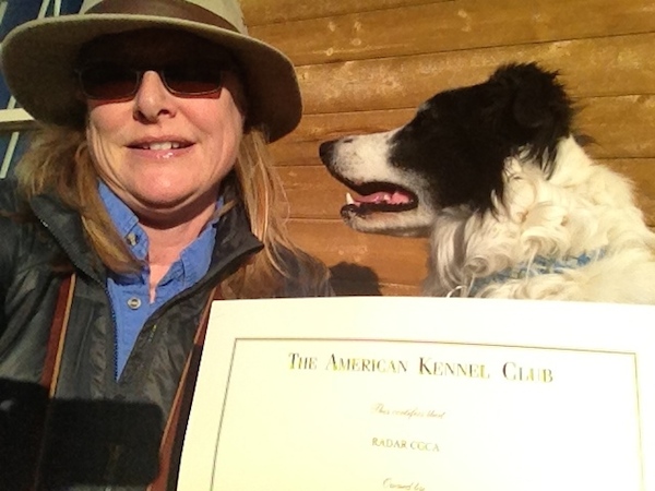 Take a class with your dog -- you will both feel empowered and accomplished.