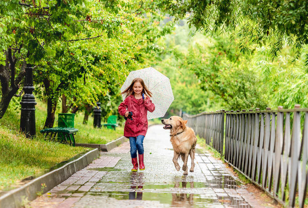 Little girl walking under rain with dog