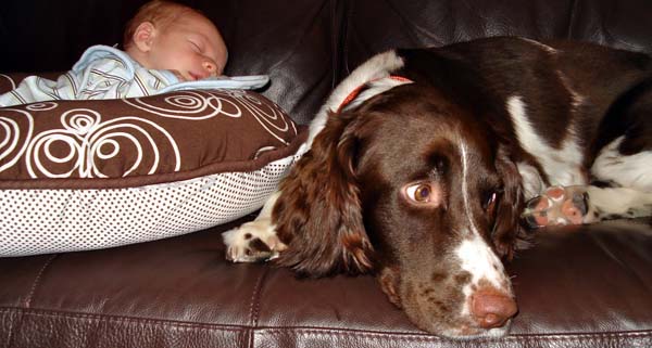Grissom as a newborn with Charlie, then almost two years old.
