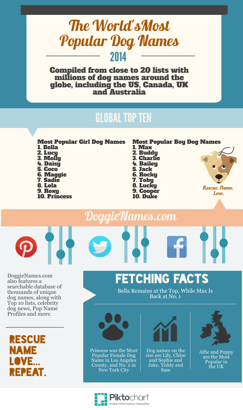 top female dog names