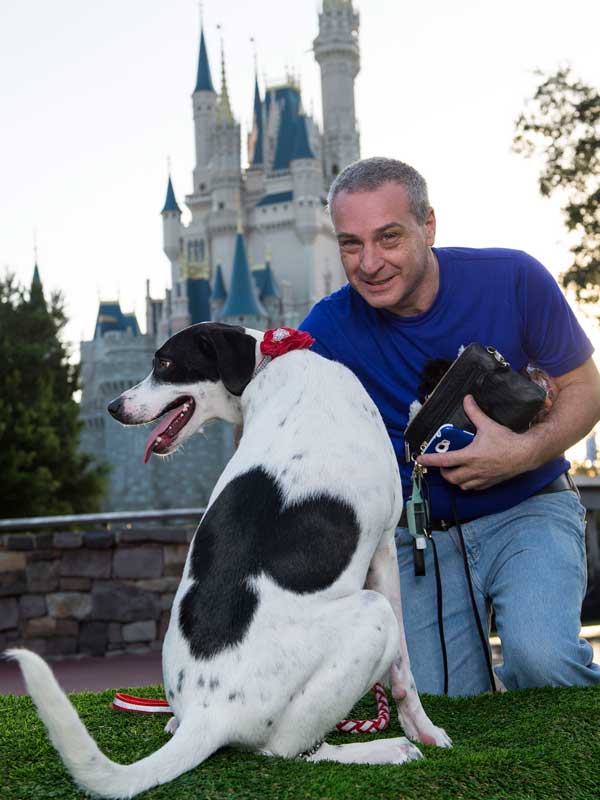 What Happens When 101 Dogs Dress as Disney Characters