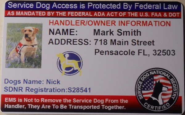 federal service dog registration