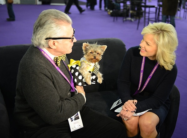 Gretchen Carlson of Fox News interviews Ron Trotta and Schmitty the Weather Dog at the Westminster Kennel Club Dog Show. (Photo by Vincent Middleton)