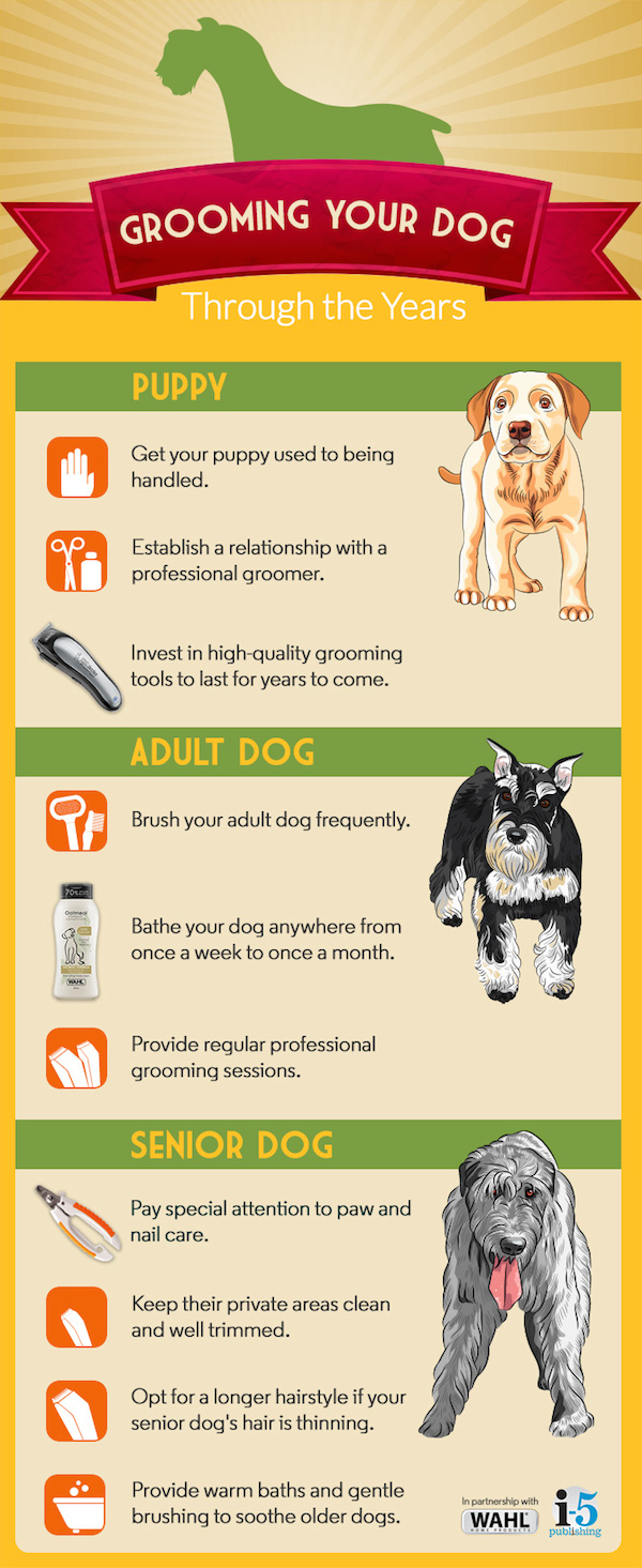 GroomingYourDog