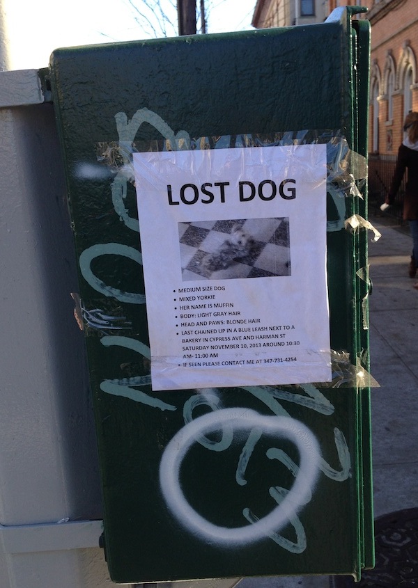 7 dos and donts for making a lost dog flyer lost dog flyer