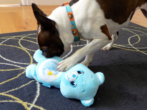 PetSmart Adds Toys 'R' Us Dog Toys