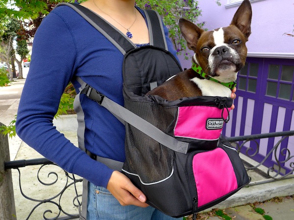 We Review the Pet-A-Roo Pet Carrier by Outward Hound – Dogster