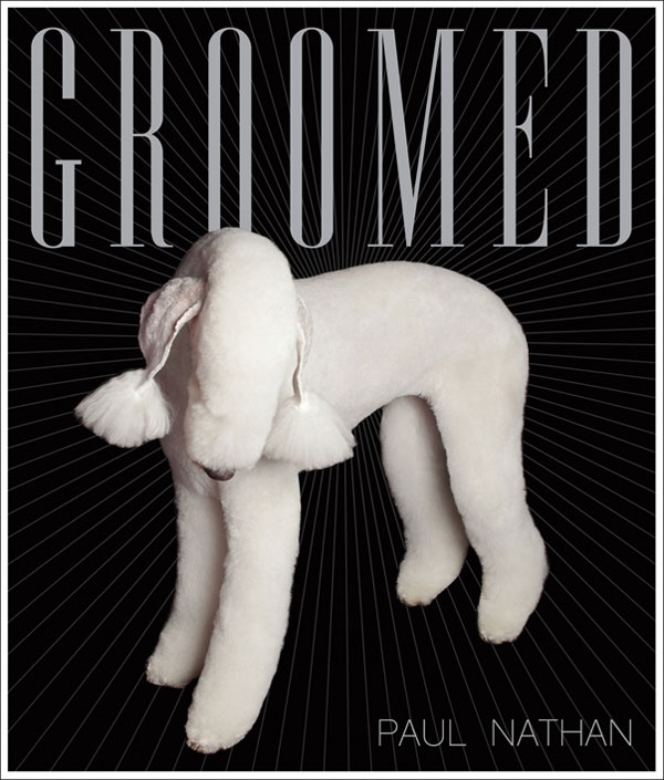how much is dog grooming