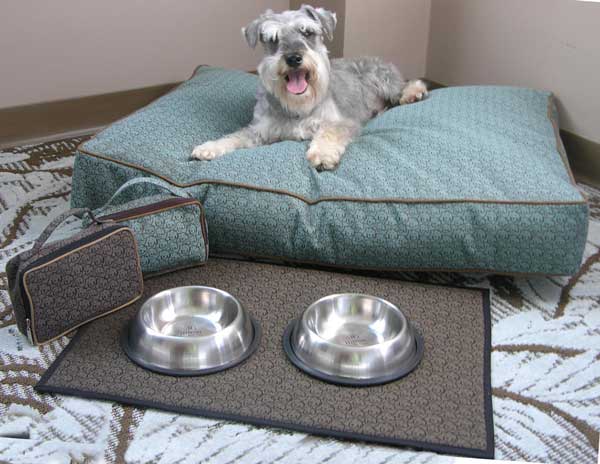 14 Dog Friendly Hotelotels To Stay At This Holiday Season The Doggie Bed And Accessories Available At Hilton Hotels