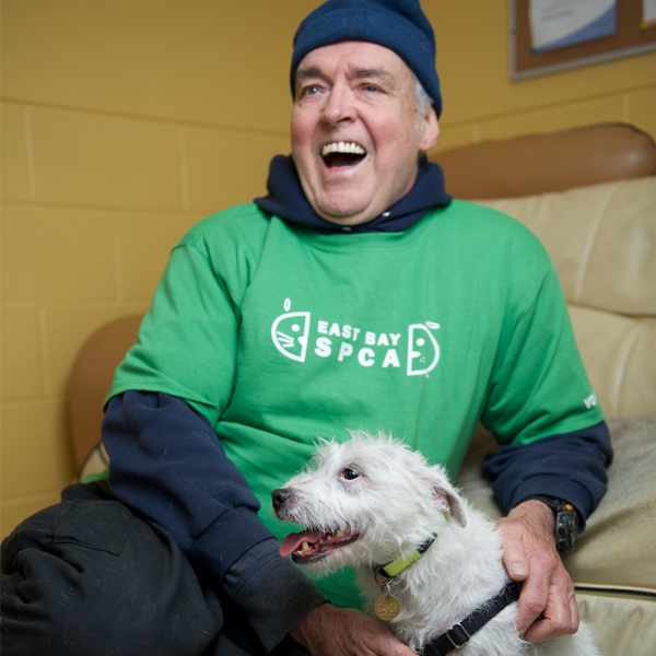 What It Takes to Be a Volunteer at a Dog Shelter Dogster