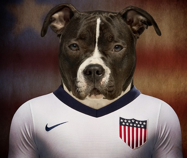 And Now, Dogs Wearing Soccer Jerseys 