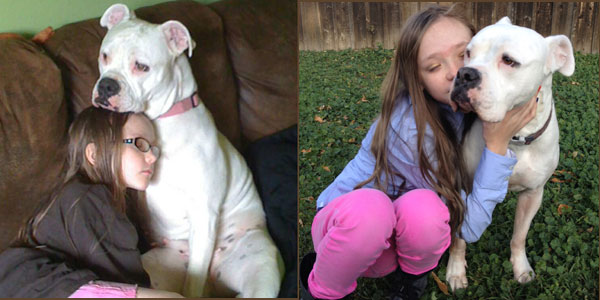 A young girl with an American bulldog.