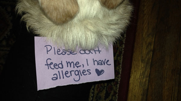 A dog paw with a sign about allergies in dogs. 