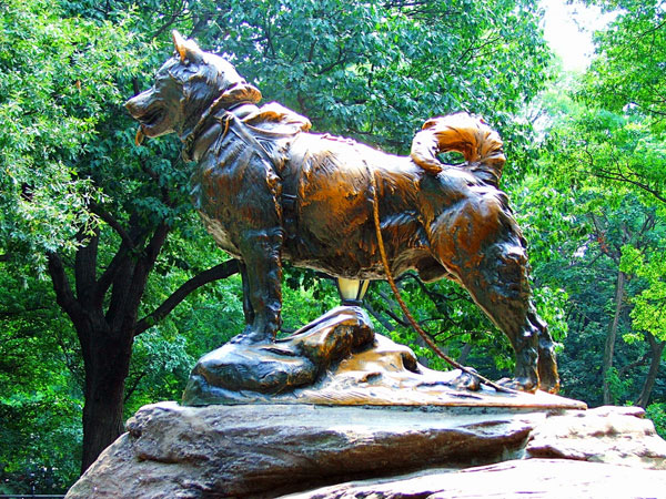 sled dog with statue in central park