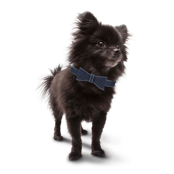 We Found the Best Deals for Dog Lovers on Black Friday and Cyber Monday!