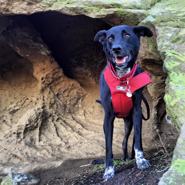 Being cute on a hike.