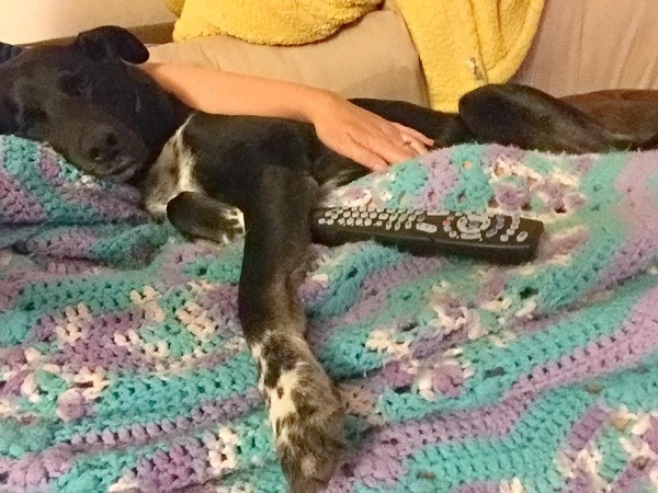 Snuggles with his mom.