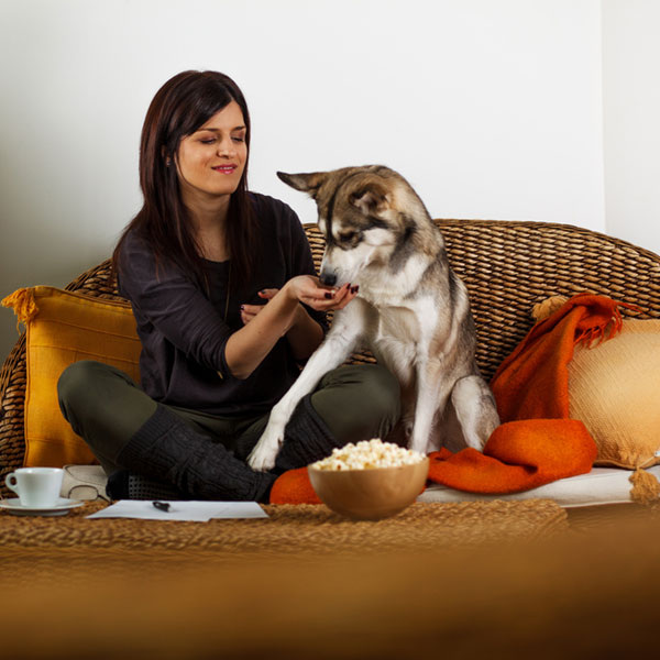 can dogs eat popcorn