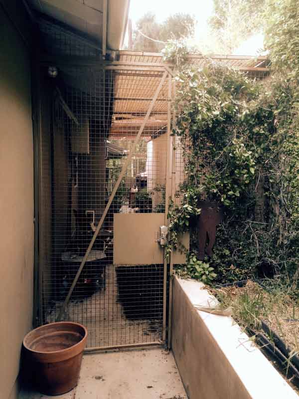 See How Producer Jon Hoffman and His Buddy Beaux CoyoteProofed Their Home