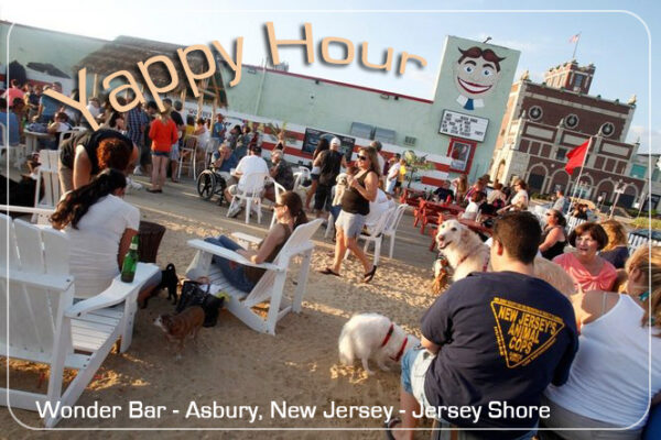 There are dog groups in many places like this Yappy Hour in New Jersey