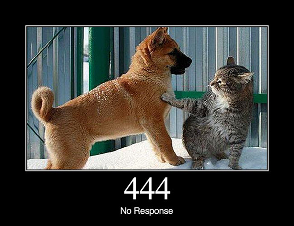 Confirmed: HTTP Status Codes Are MUCH Funnier With Dogs