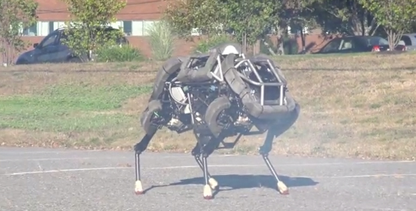 robot that looks like a dog