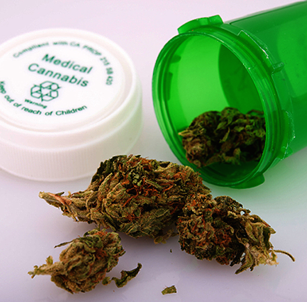 Ask a Vet Did I Kill My Dog With Marijuana? Dogster