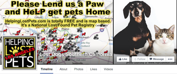 Facebook is your friend when looking for a runaway dog.