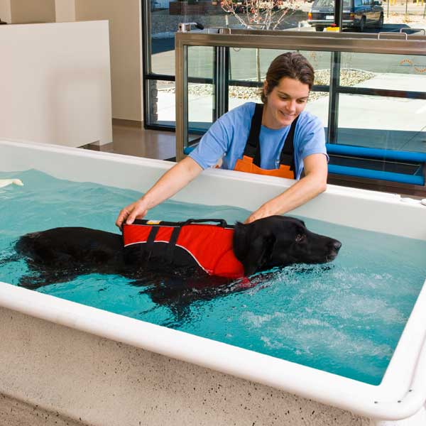 hydrotherapy pool for dogs near me