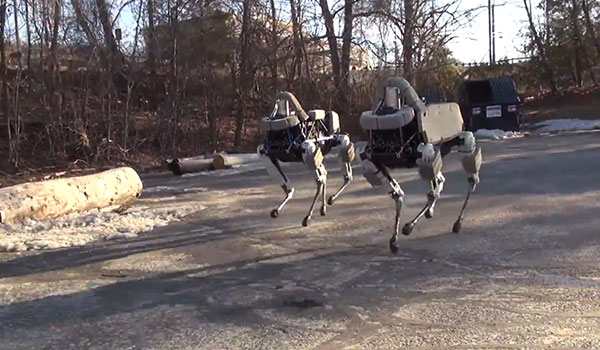 kicking robot dog