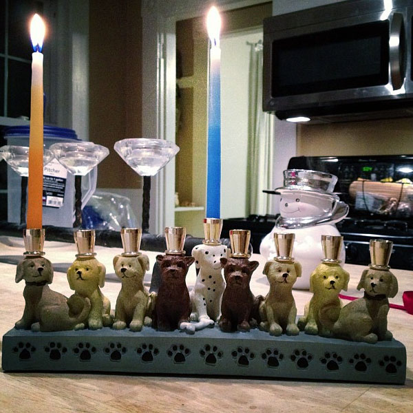 How to Have a Safe and Happy Hanukkah With Your Dogs Dogster