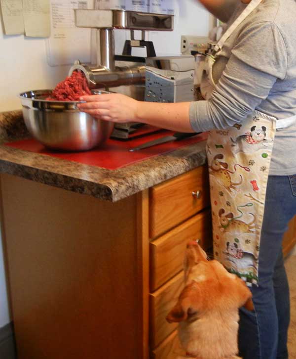 How To Use A Meat Grinder To Make Homemade Pet Food 