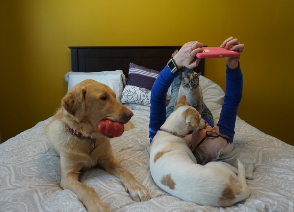 letting your dog sleep in your bed