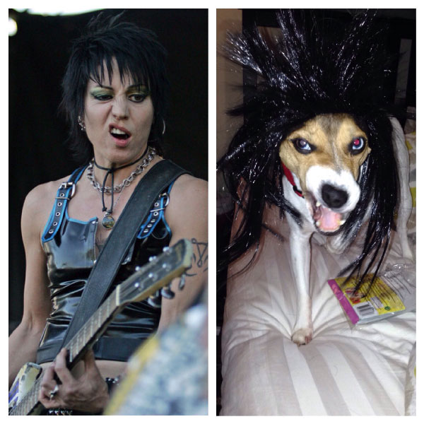 joan jett costume joan jett costume