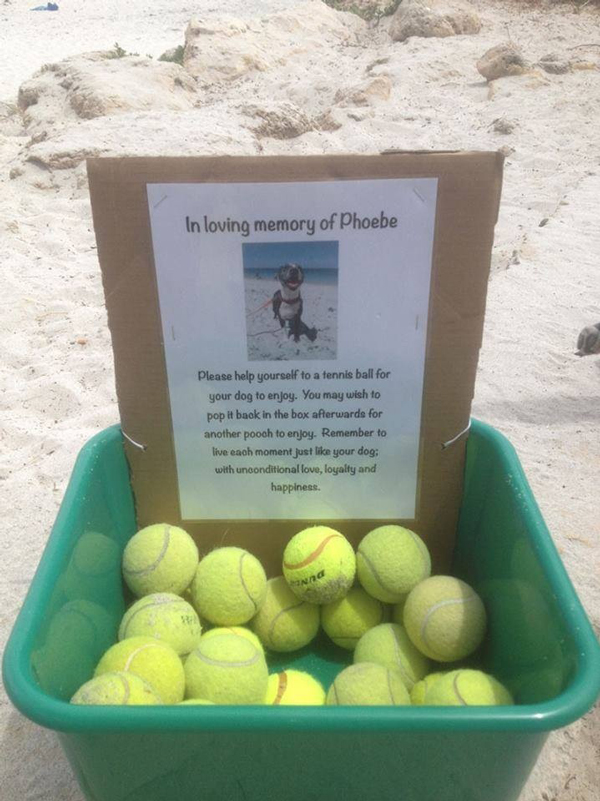 Pic We Love A Tennis Ball Memorial For Beloved Dog A Tennis Ball Memorial For Beloved Dog