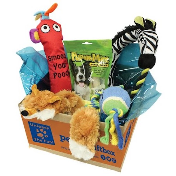 dog gift box