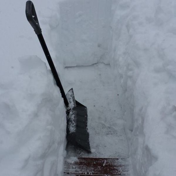 How to Shovel a "Path to Poop" in the Snow for Your Dog